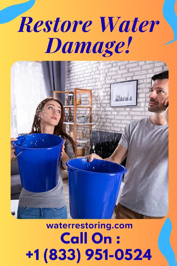 water restoration Lightning Damage Recovery Pros Lancaster
